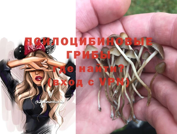 таблы Алексеевка