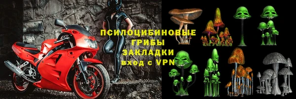 a pvp Алзамай