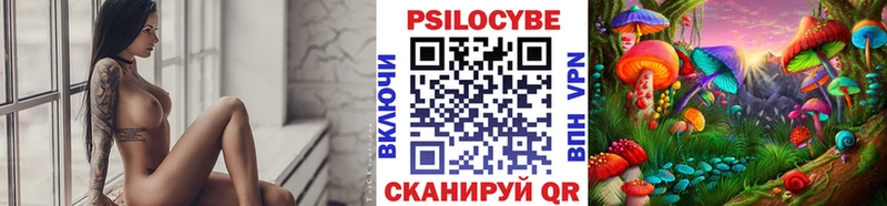 что такое наркотик Медынь hydra как зайти Галлюциногенные грибы Psilocybine cubensis